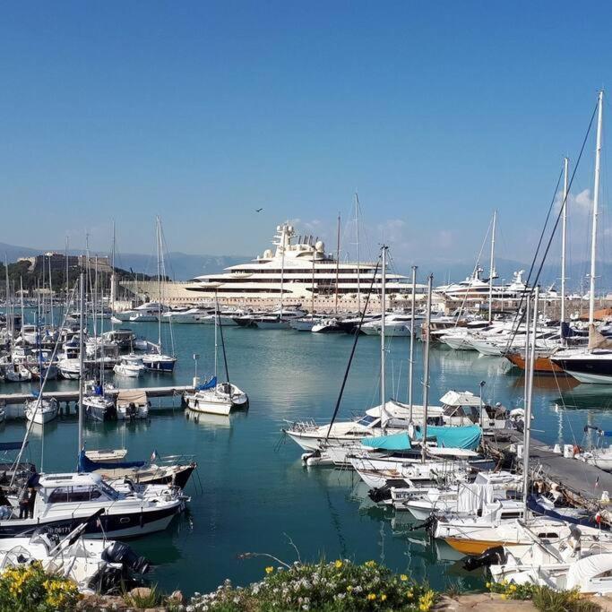3P Central Refait A Neuf - Parking L430Cm X W275Cm Antibes Eksteriør billede